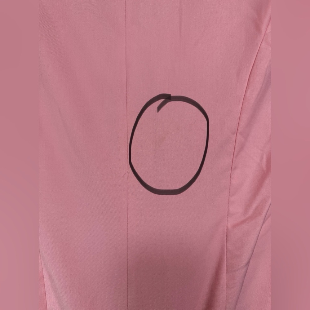 Danielle Guizio Pink Blazer Women’s XS Preppy Barbiecore Feminine Business - Picture 14 of 16